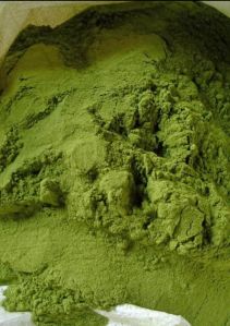 Moringa Oleifera Powder