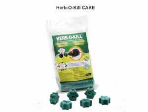 Herbal Rat Cake