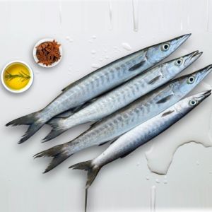 Fresh Barracuda Whole Fish (Sheela Fish)