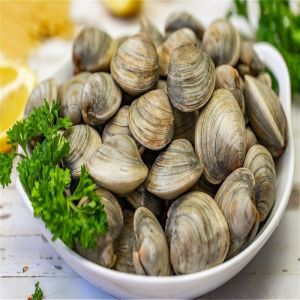 Fresh Medium Size Premium Whole Tesrio (Clams)Fresh