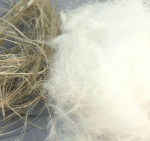 Hemp Cottonized Fiber