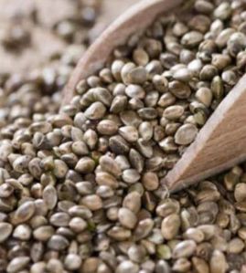 Raw Hemp Seeds