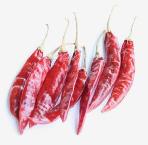 Sannam/334/S10/S4 Dried Red Chilli