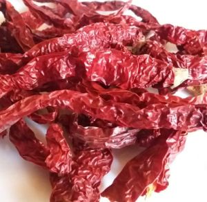 Byadgi Chilli