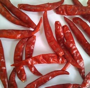 Teja Dry Chilli