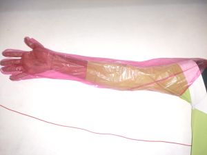 Plastic Veterinary Gloves