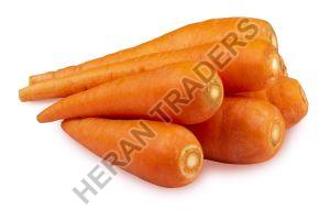 Fresh Carrot