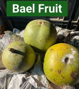 bael fruit