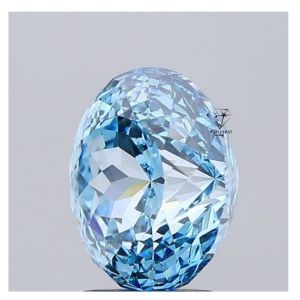Fancy Portuguese Cut Diamond