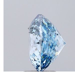 Fancy Portuguese Cut Diamond