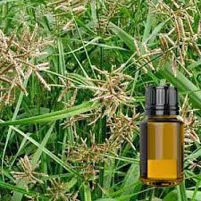 Essential Oil Blend For Muscle Pain