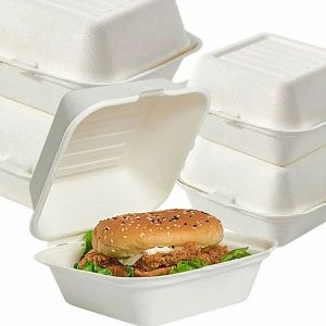 Disposable Clamshell Boxes