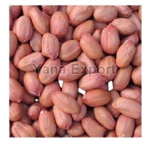 Natural Peanut Seeds