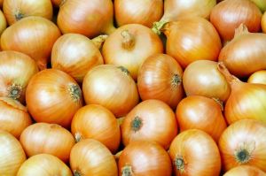 Fresh Sweet Onion