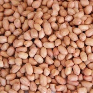 Groundnut Kernels