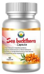 Sea Buckthorn Capsule