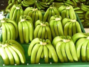 Fresh Cavendish Bananas