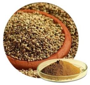 Ajwain Powder