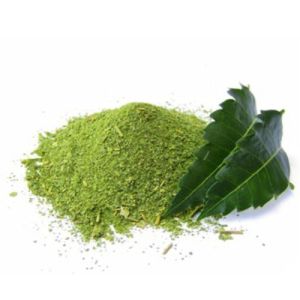 Neem Powder