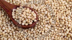 Creamy Sorghum Seeds