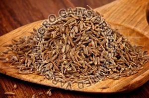 Cumin Seeds