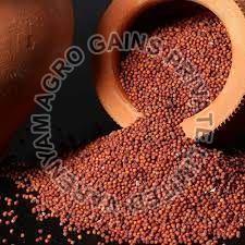 Ragi Millet