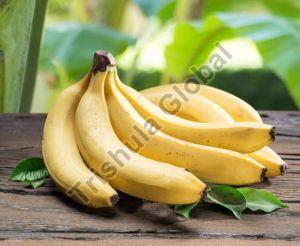 Yellow Cavendish Banana