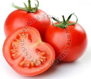 Fresh Tomato