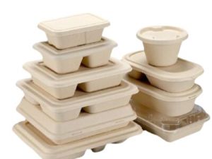 Sugarcane Bagasse Disposable Food Container