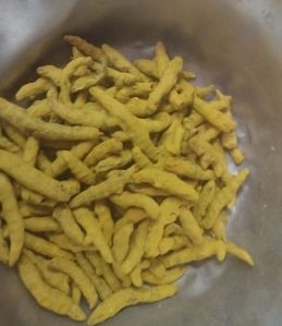 dried turmeric finger