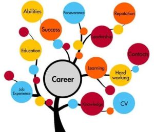 Career Counselling Service