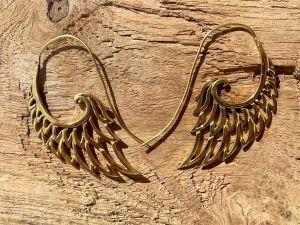 Glossy Feather Brass Earrings