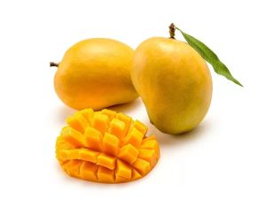 Alphonso Mango