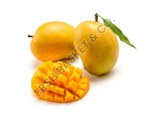 Alphonso Mango