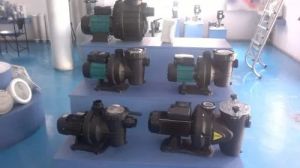 Swimming Pool Filtration Pump