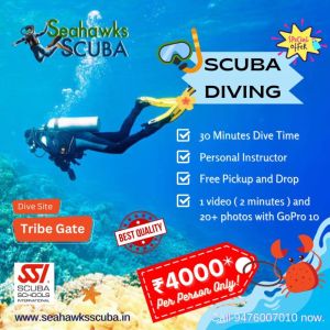 Scuba Diving Courses