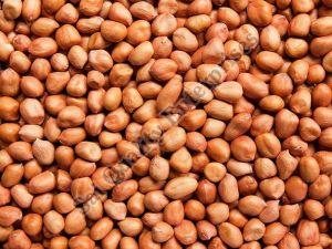 A Grade Groundnut Kernels