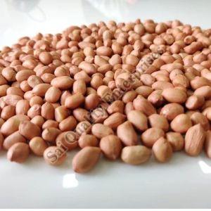 raw groundnut kernels