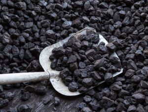 Steam Coal