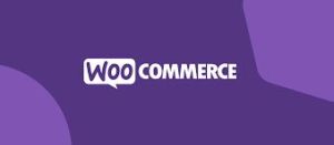 WooCommerce development Services
