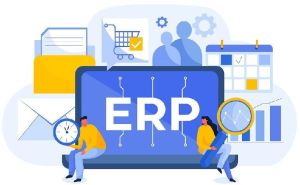 Erp Software Solutions