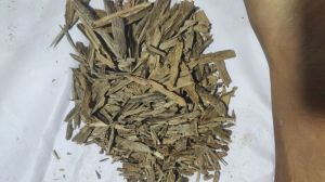 Oudh hindi