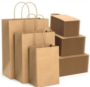 biodegrade paper carry bag