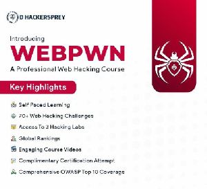 Professional web hacking course