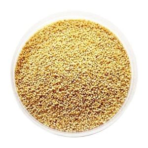 Natural Foxtail Millet Seeds