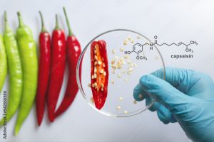 Pure Natural Capsaicin USP