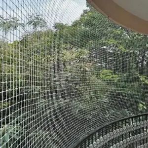 6x6 Feet Rebon Anti Bird Net