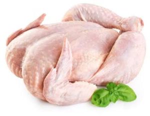 Chicken Meat