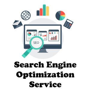 Search Engine Optimization Service