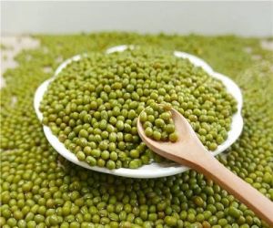 green mung beans
